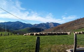 Yauberria
